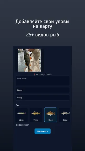 Скриншот 2/3