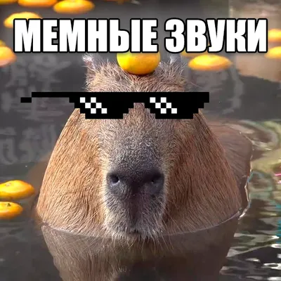 Мемные звуки