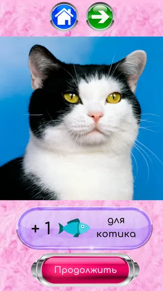 Скриншот 3/4