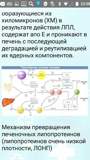 Скриншот 2/8