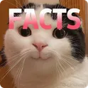 Cats Facts логотип