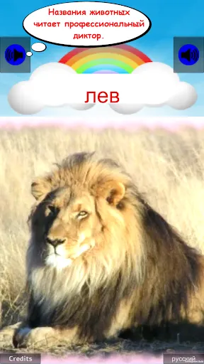 Скриншот 7/10