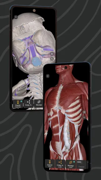 Скриншот 2/7