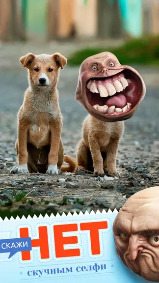 Скриншот 1/3