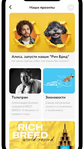 Скриншот 8/8