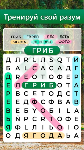 Скриншот 5/5
