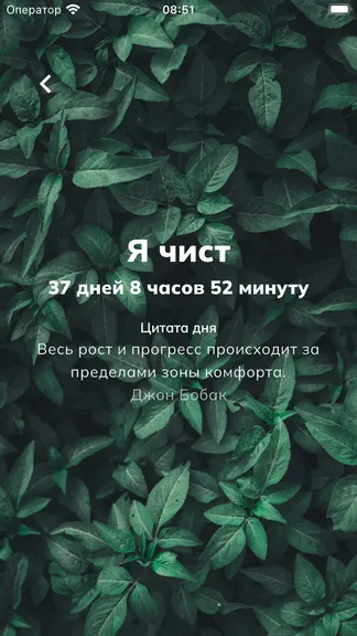 Скриншот 2/4