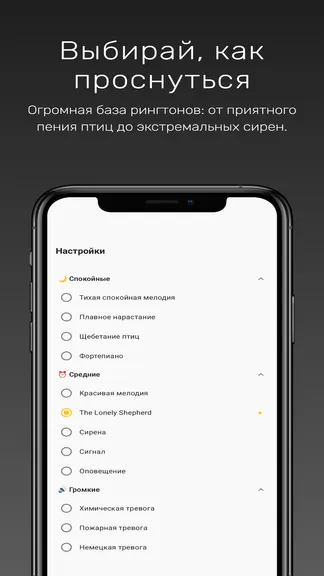 Скриншот 3/6