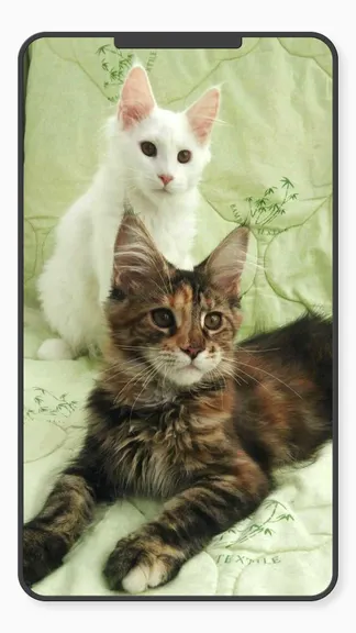 Скриншот 2/10