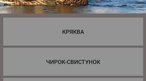 Скриншот 3/4