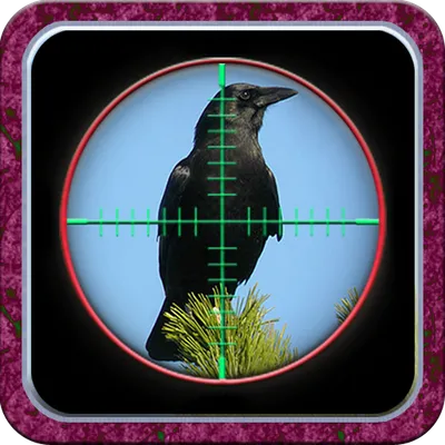 City Crow Hunting 3D