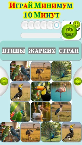 Скриншот 3/4