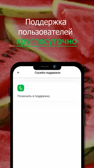 Скриншот 4/4