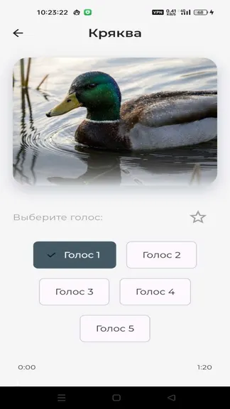 Скриншот 3/5