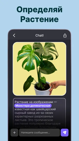 Скриншот 4/6