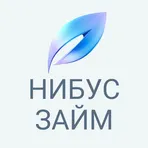 Нибус - микрозаймы на карту логотип