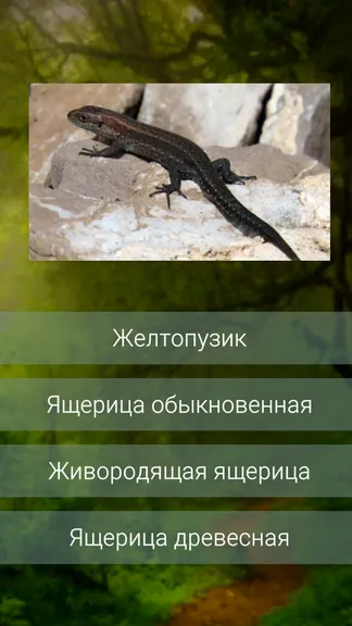 Скриншот 1/3