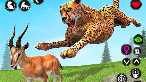 Скриншот 5/5