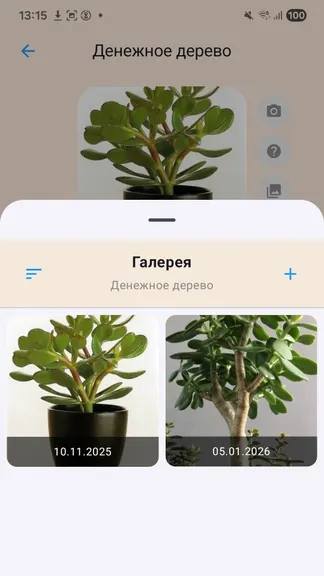 Скриншот 4/6