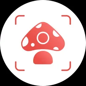  Picture Mushroom — Mushroom ID