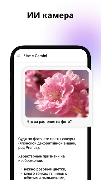 Скриншот 3/4