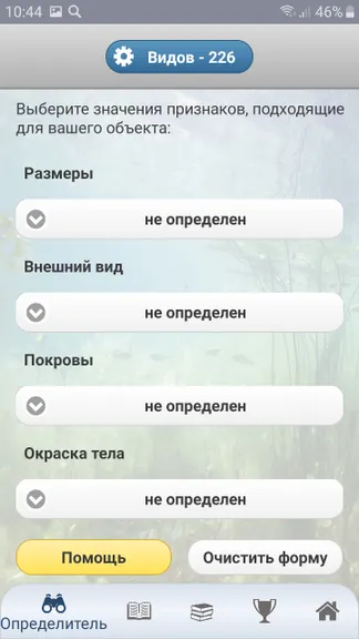 Скриншот 2/10