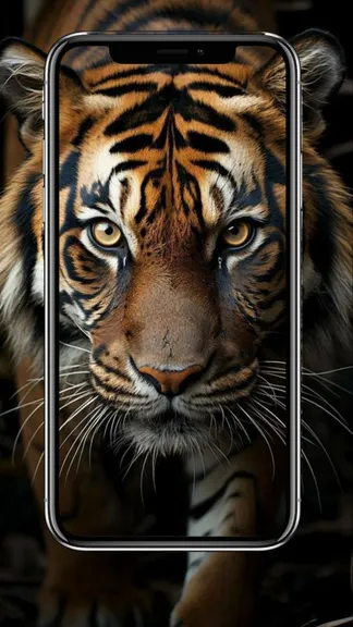 Скриншот 1/8