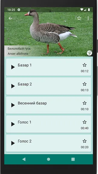 Скриншот 3/4