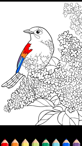 Скриншот 9/10