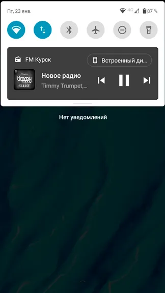 Скриншот 10/10