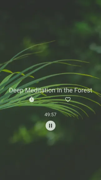 Скриншот 2/3