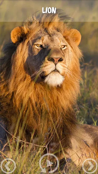 Скриншот 2/5