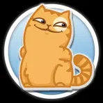  Cat Persik Stickers — WAStickerApps логотип