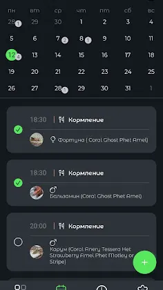 Скриншот 2/2