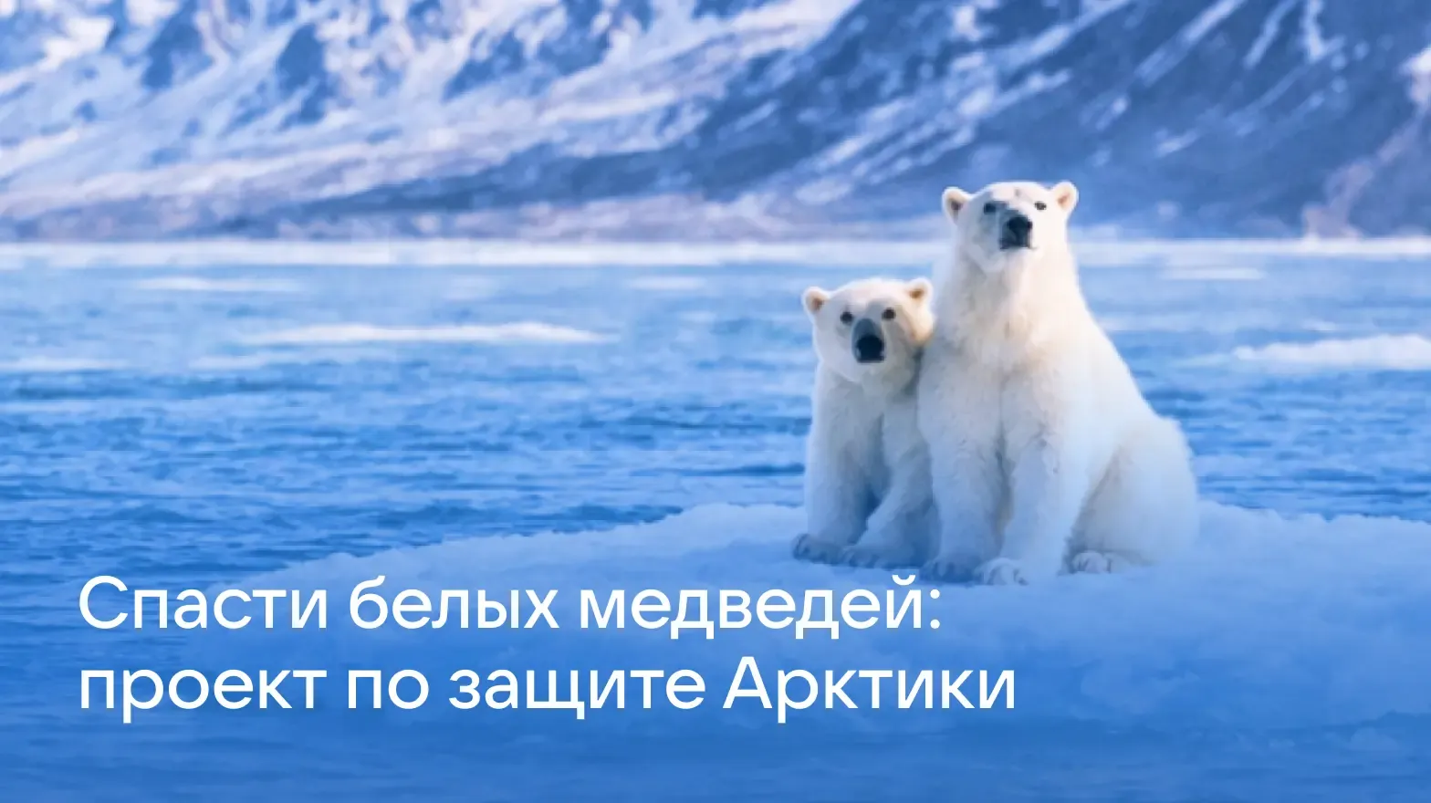 Каталоги арктики - статья