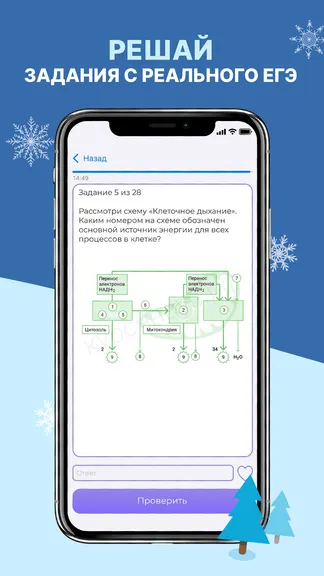 Скриншот 2/4