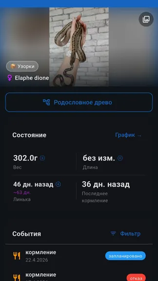Скриншот 6/7