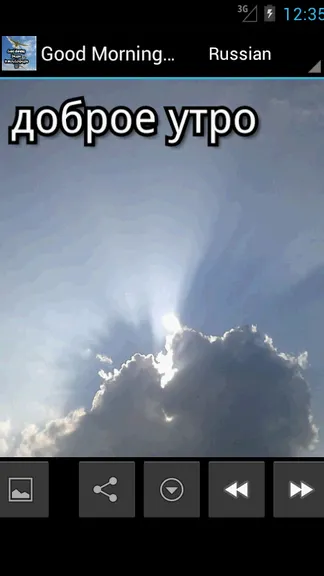 Скриншот 6/10