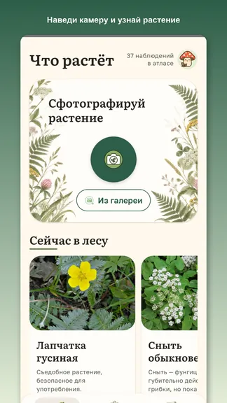 Скриншот 1/6
