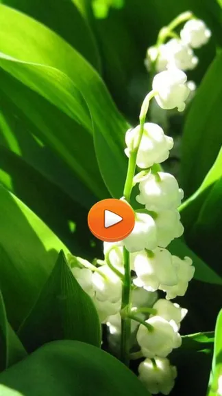 Скриншот 1/5