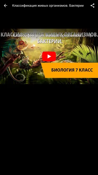 Скриншот 7/7