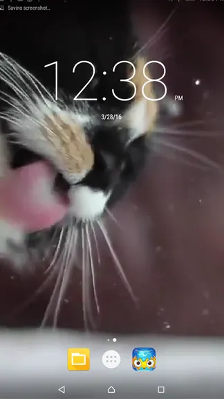 Скриншот 2/5