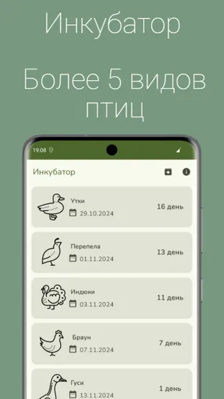 Скриншот 1/5