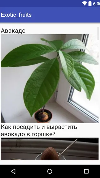 Скриншот 2/4