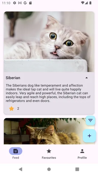 Скриншот 4/5