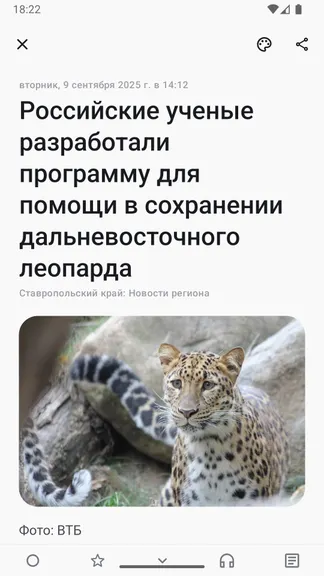 Скриншот 3/6