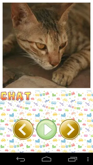 Скриншот 2/5