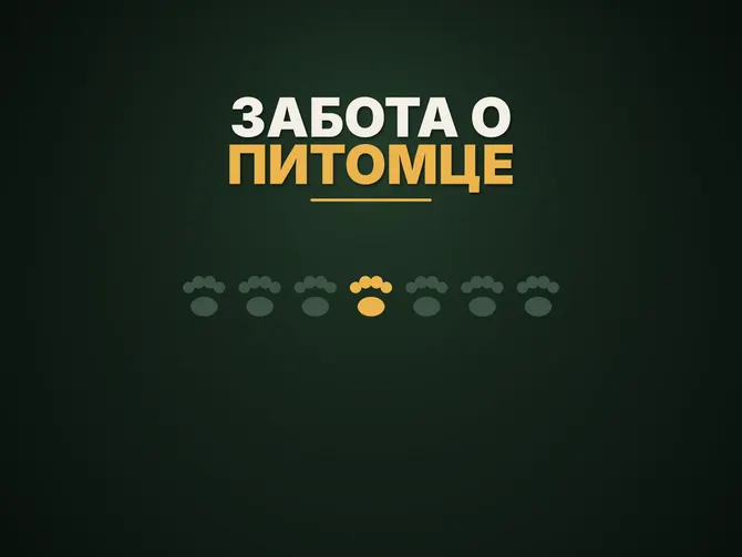 Обложка события Лапуля — забота о питомце
