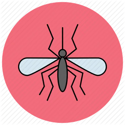 Mosquito Sound Effect