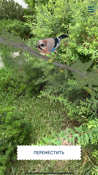 Скриншот 2/6